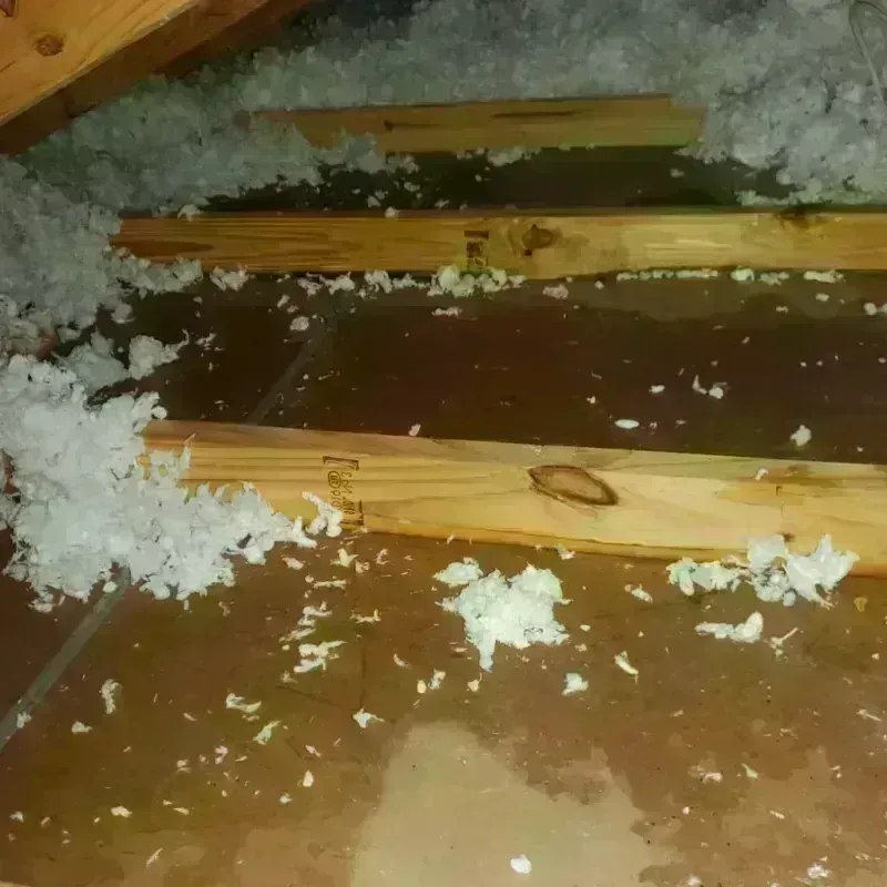 Attic Water Damage in Scottdale, GA